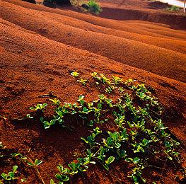 《终极时代》DLC“复活计划”上线 所有玩家免费获取